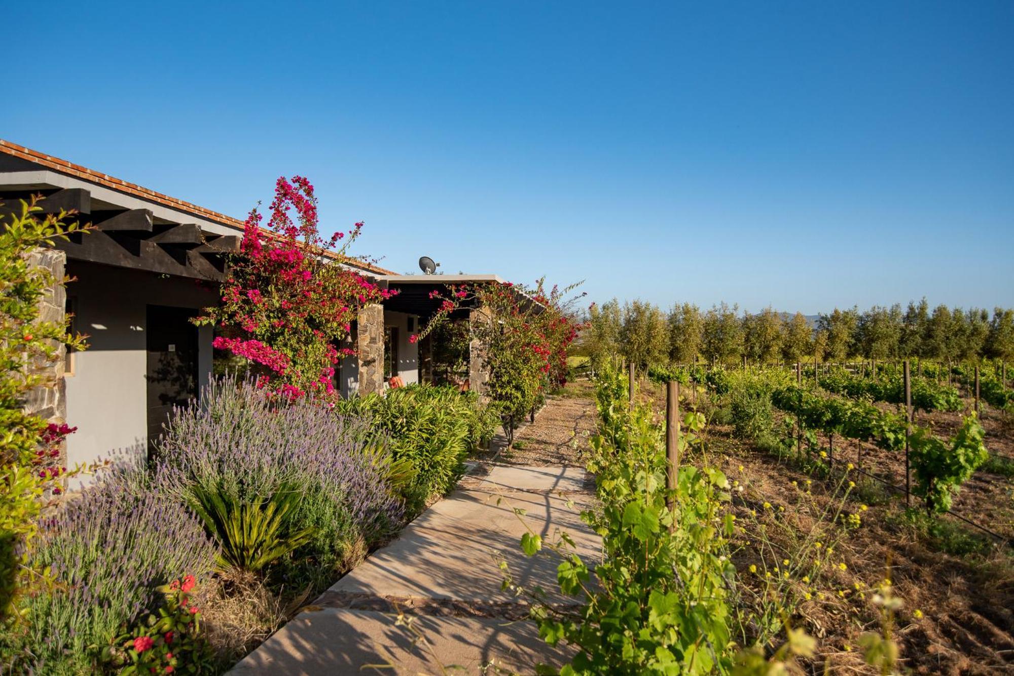Atika Retreat Hotel Valle de Guadalupe Exterior foto