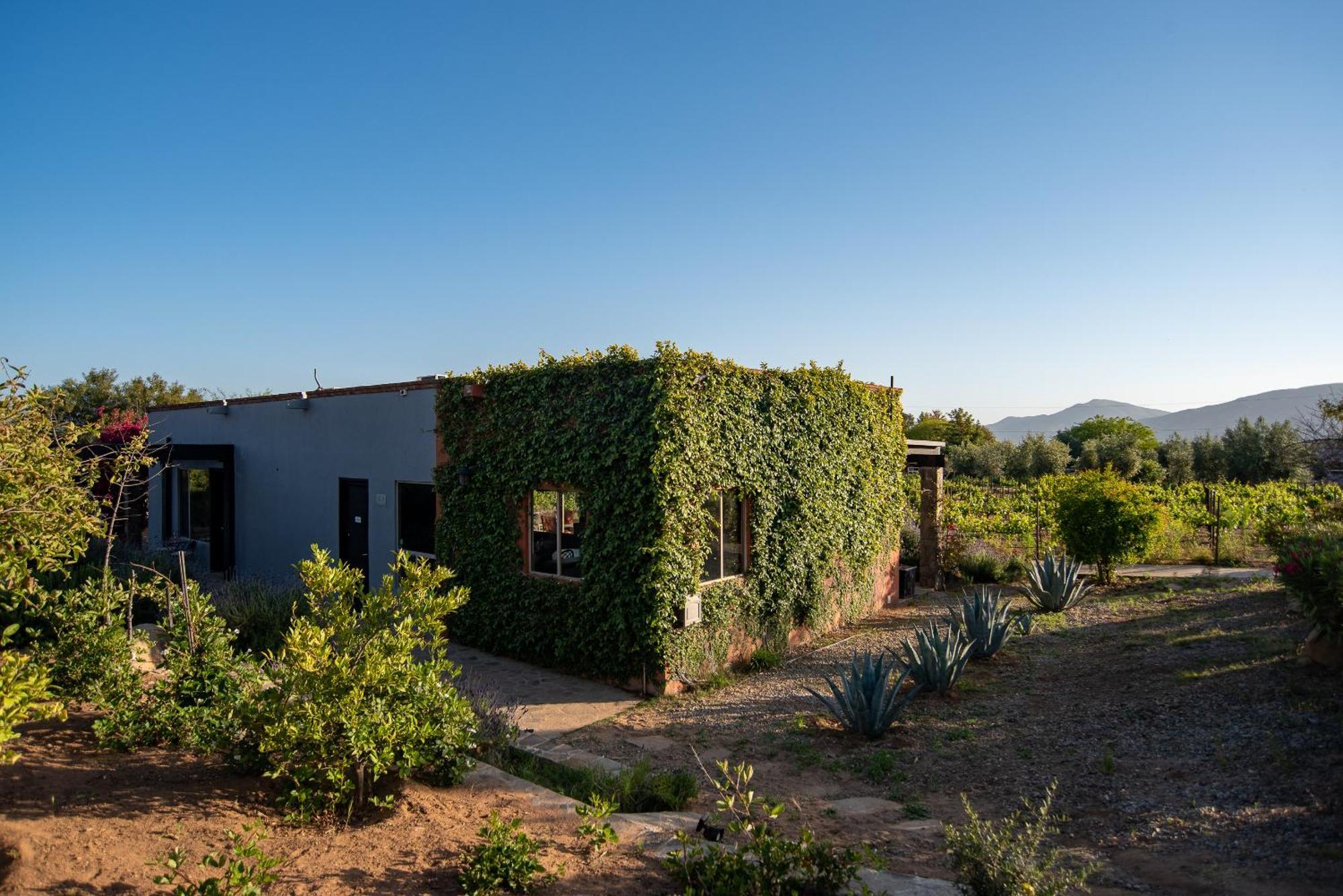 Atika Retreat Hotel Valle de Guadalupe Exterior foto